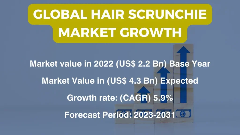 global hair scrunchie market