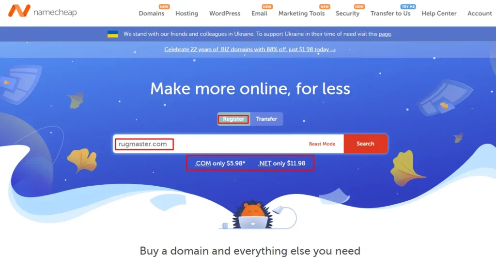 namecheap domain